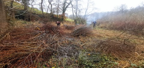 Volunteers gathering cut material