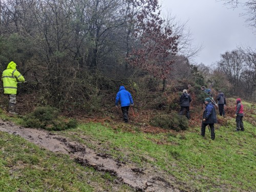 Gorse removal - getting started