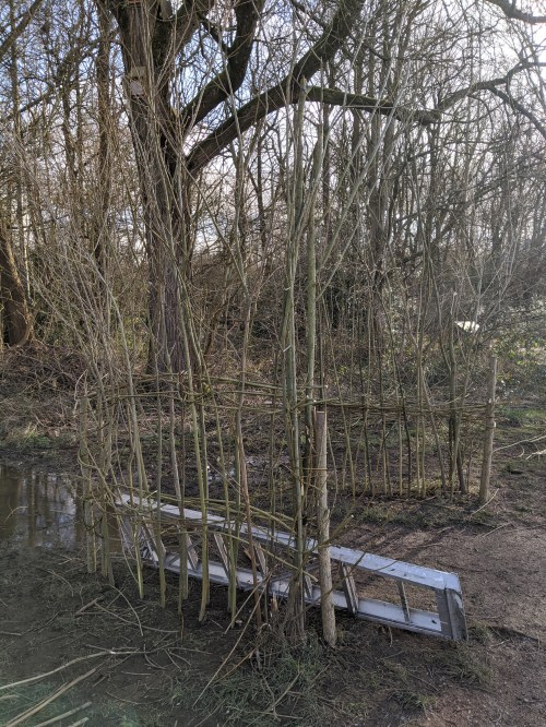 Willow arch in progress