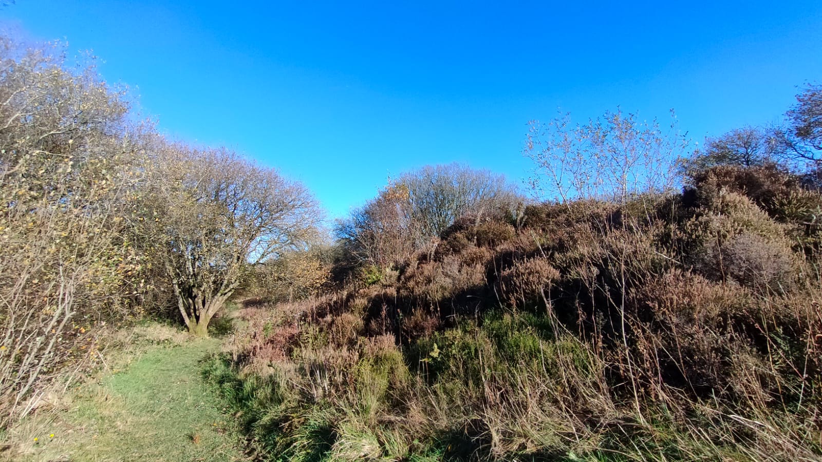 Tegg's Nose country park