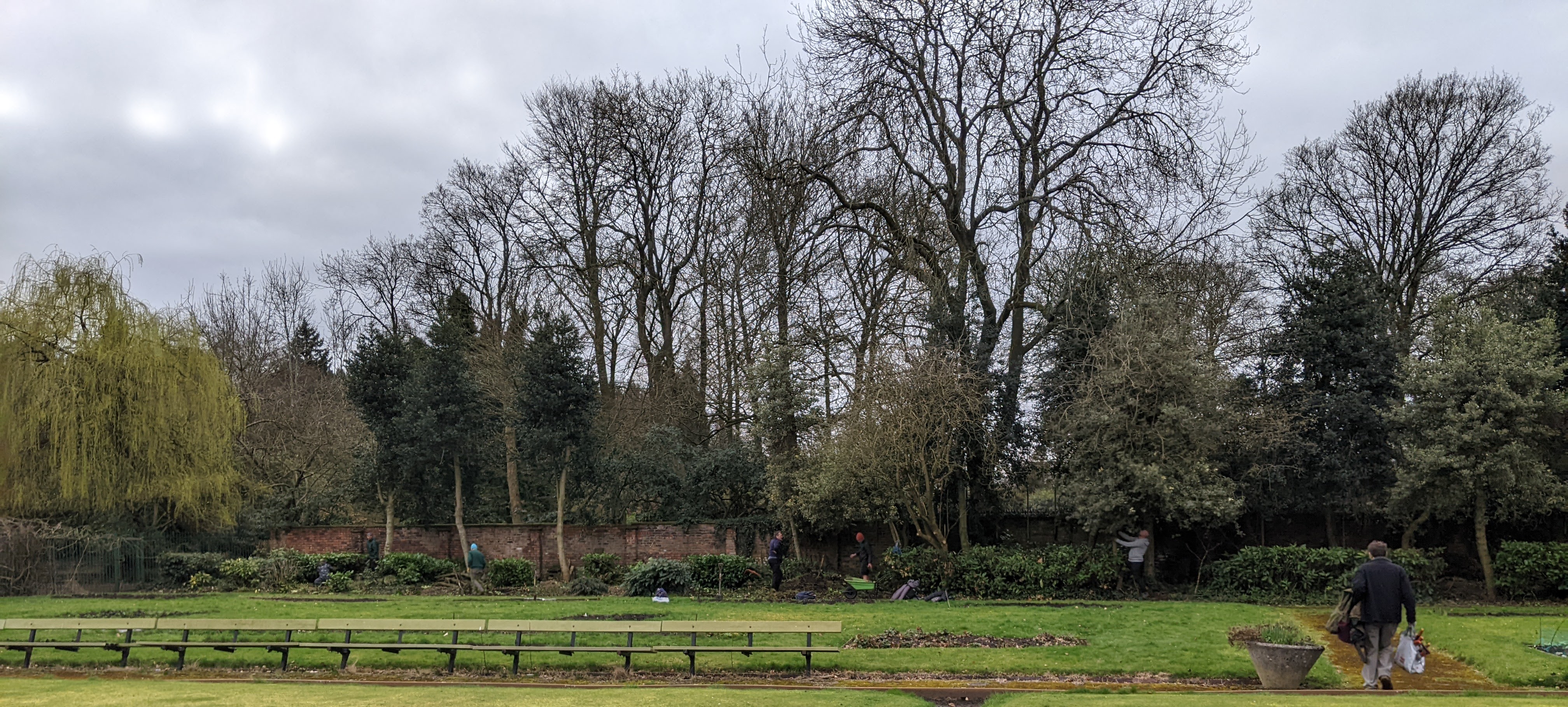 Volunteers and the borders of the community allotment