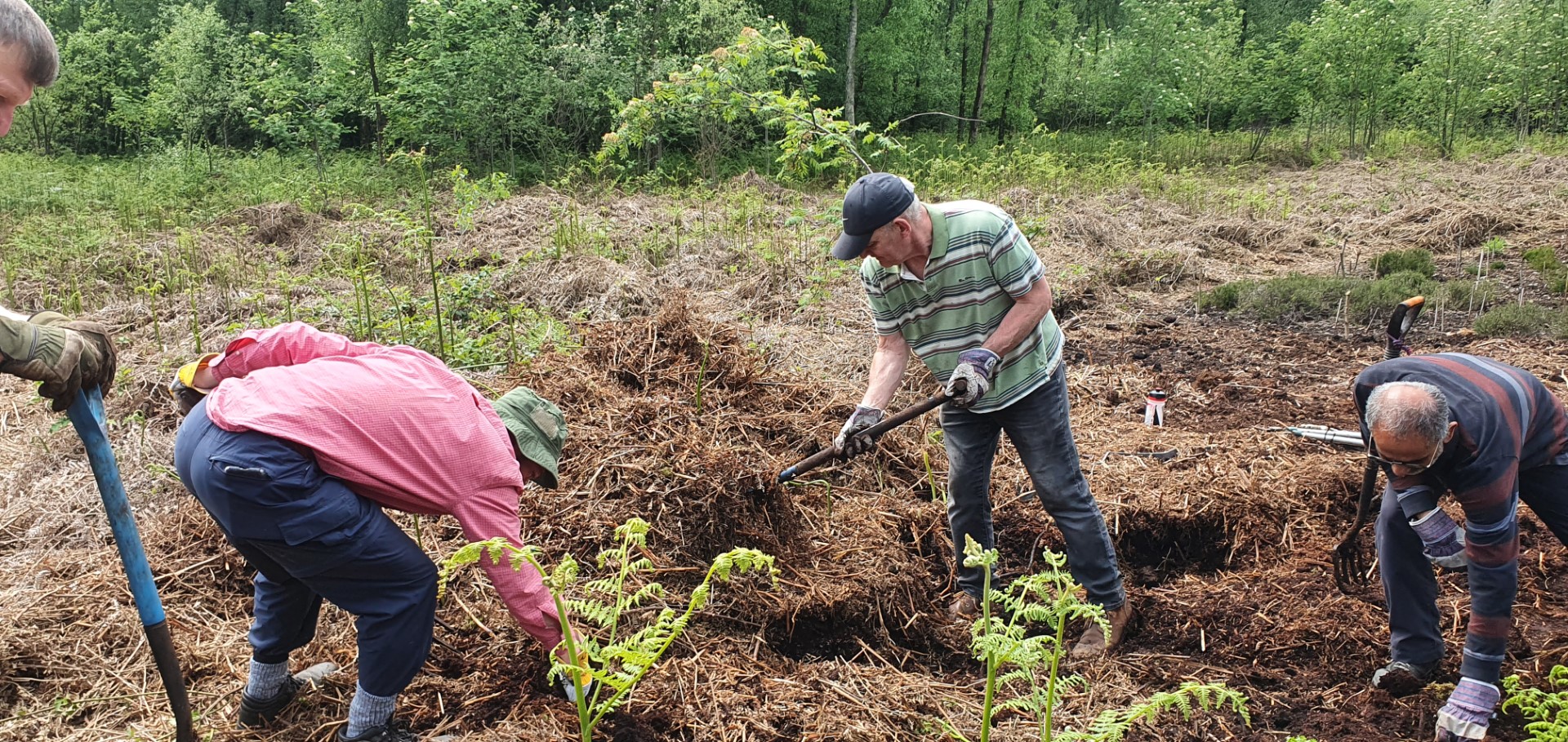 Volunteers at Birch Moss Covert