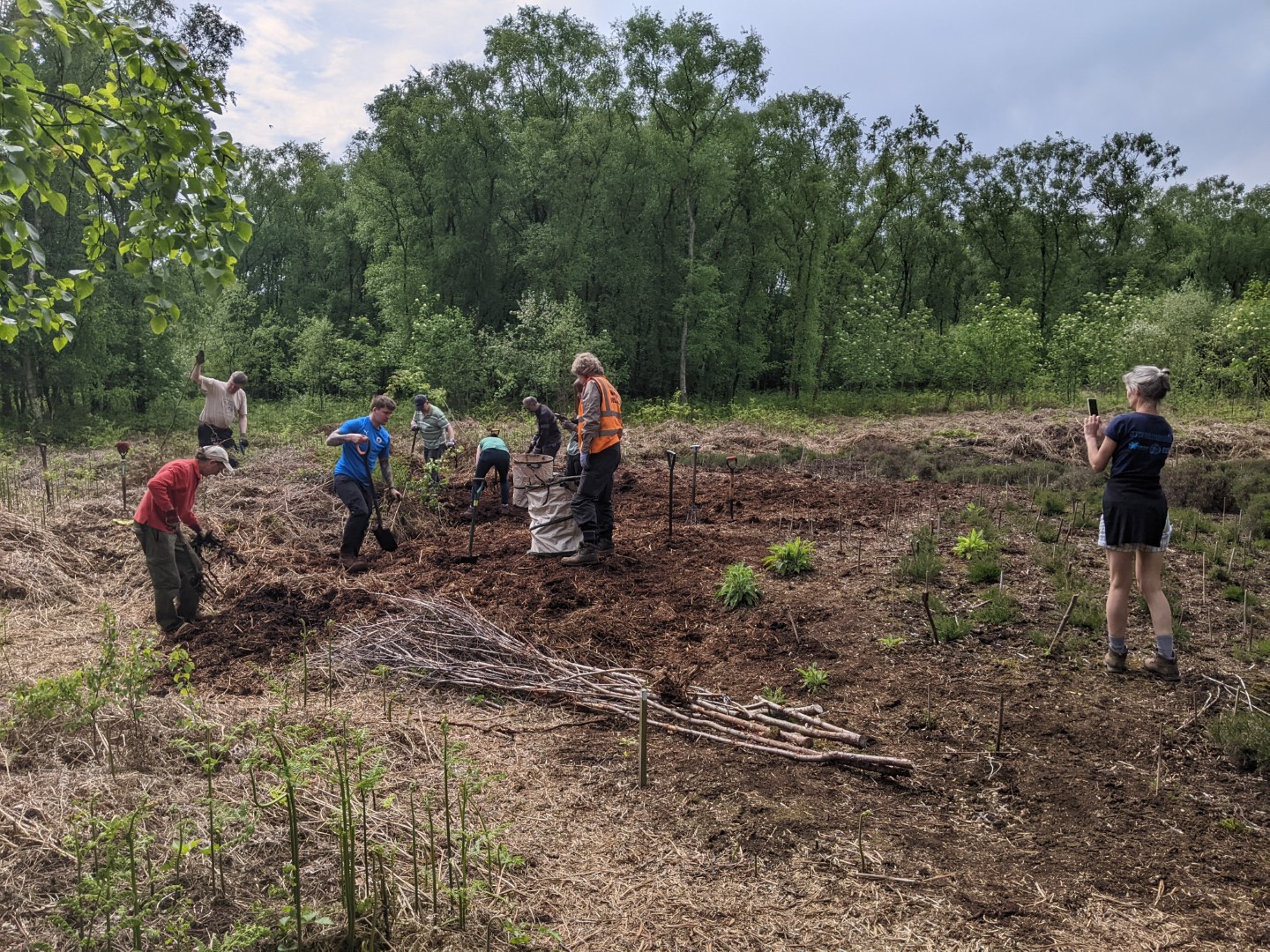 Volunteers at Birch Moss Covert