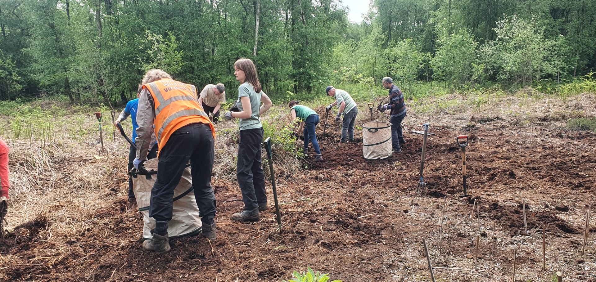 Volunteers at Birch Moss Covert