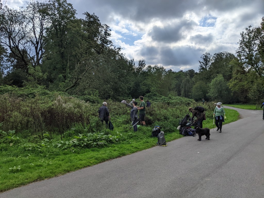 Conservation volunteers at work.