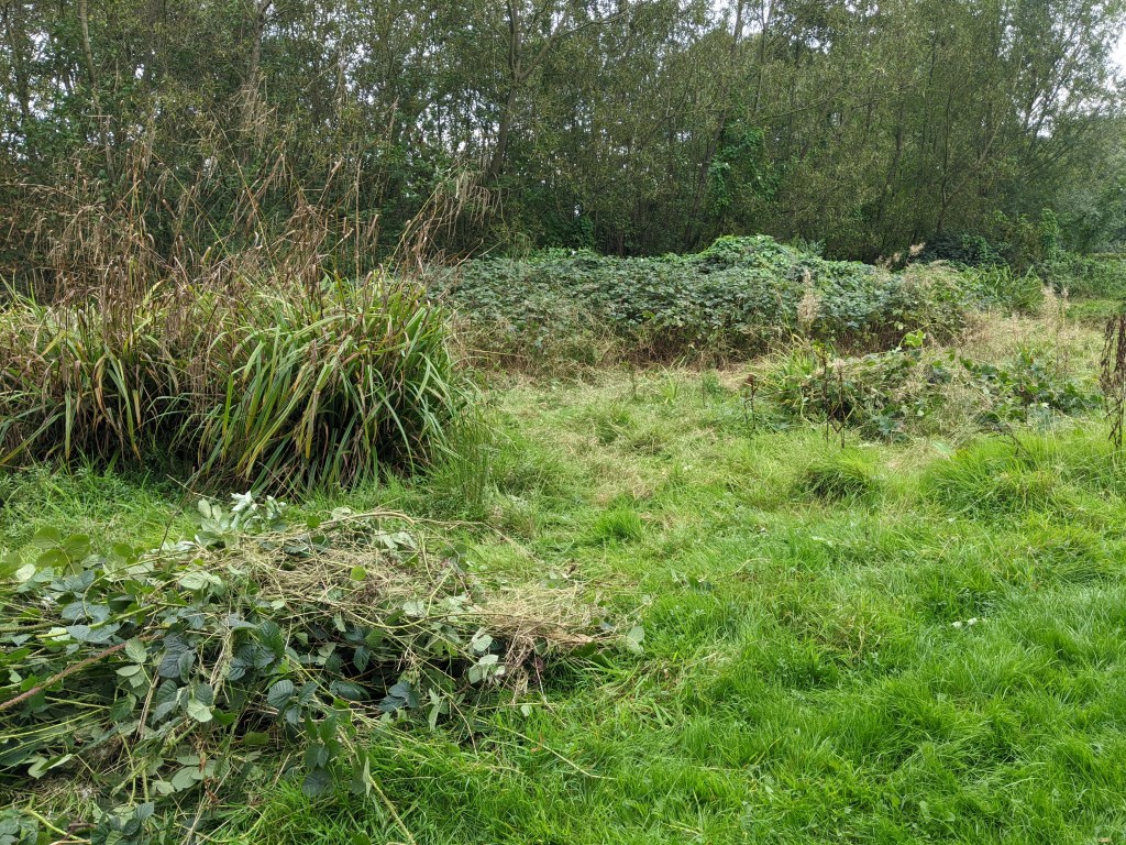 Conservation volunteers at work.