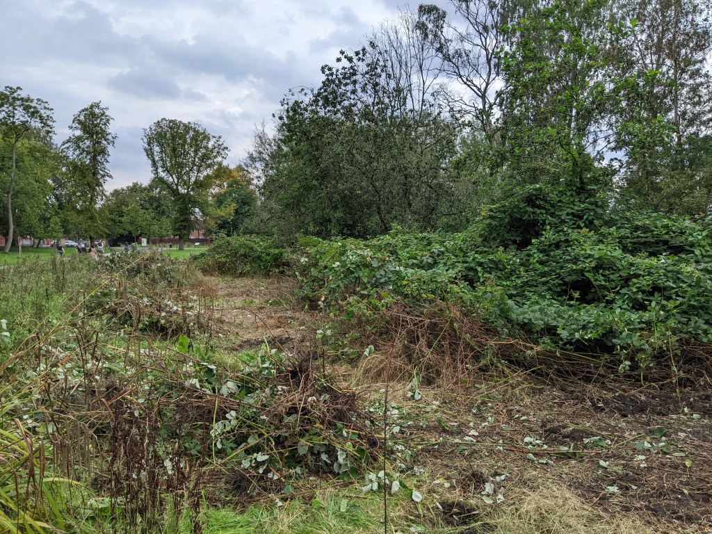 Conservation volunteers at work.