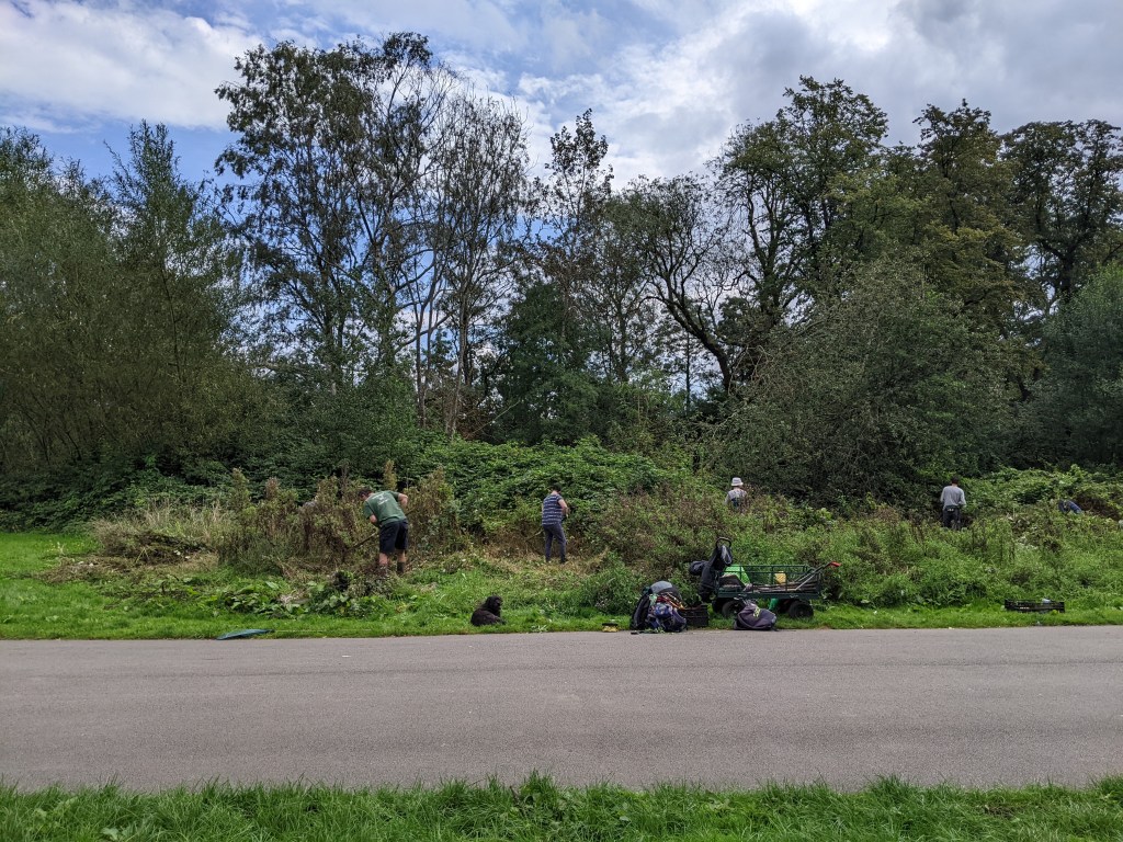 Conservation volunteers at work.