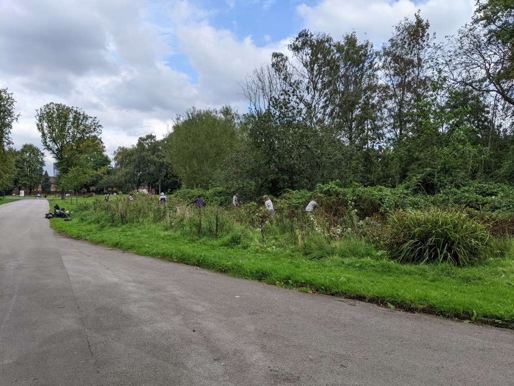 Conservation volunteers at work.