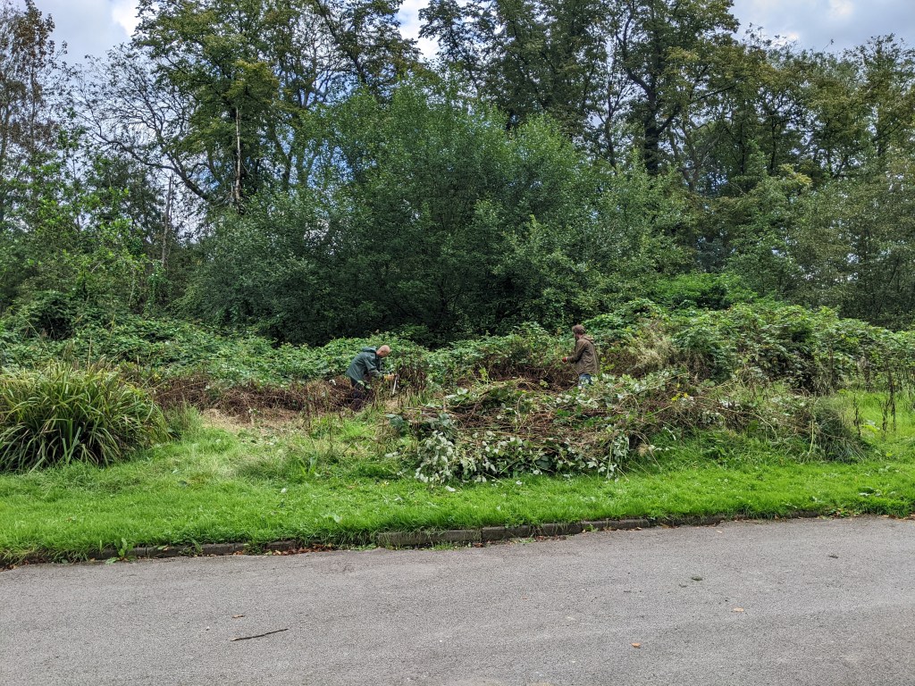 Conservation volunteers at work.