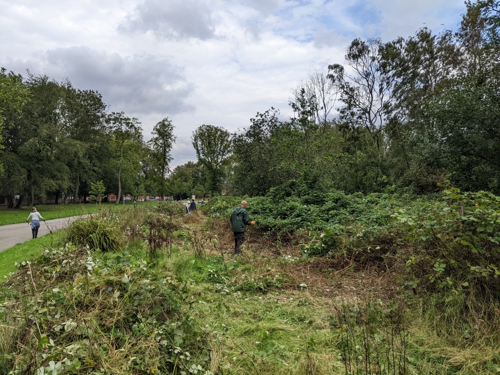 Conservation volunteers at work.