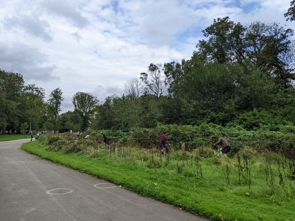 Conservation volunteers at work.