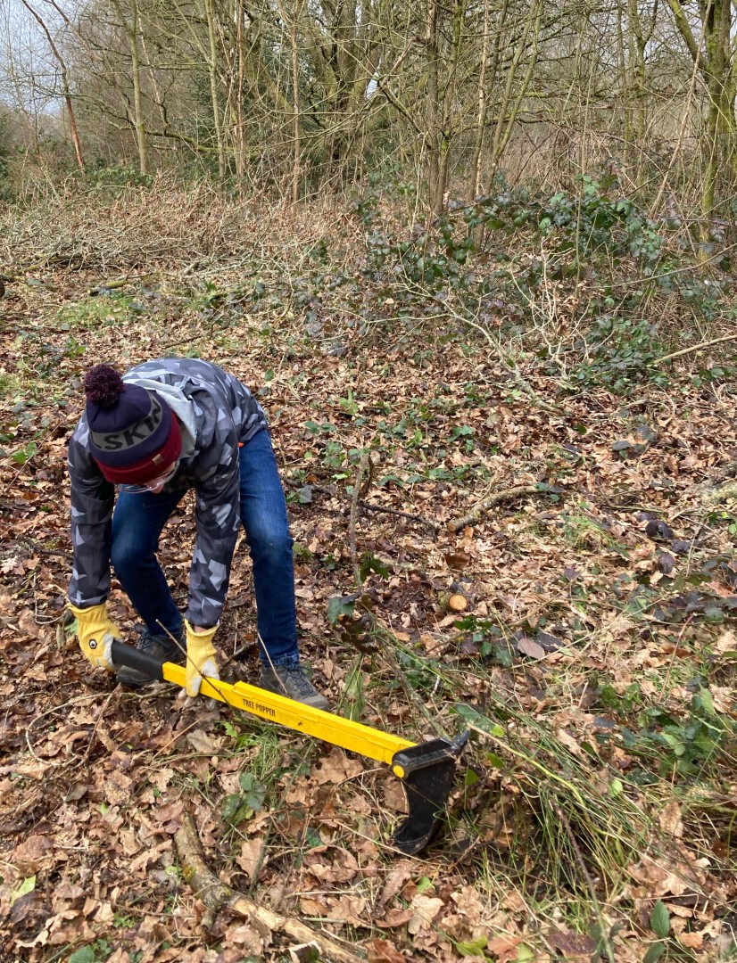 Conservation volunteer at work