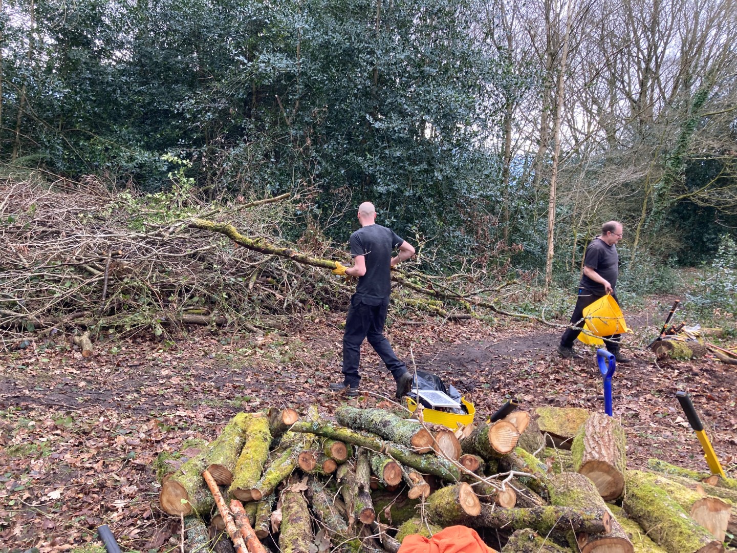 Conservation volunteers at work