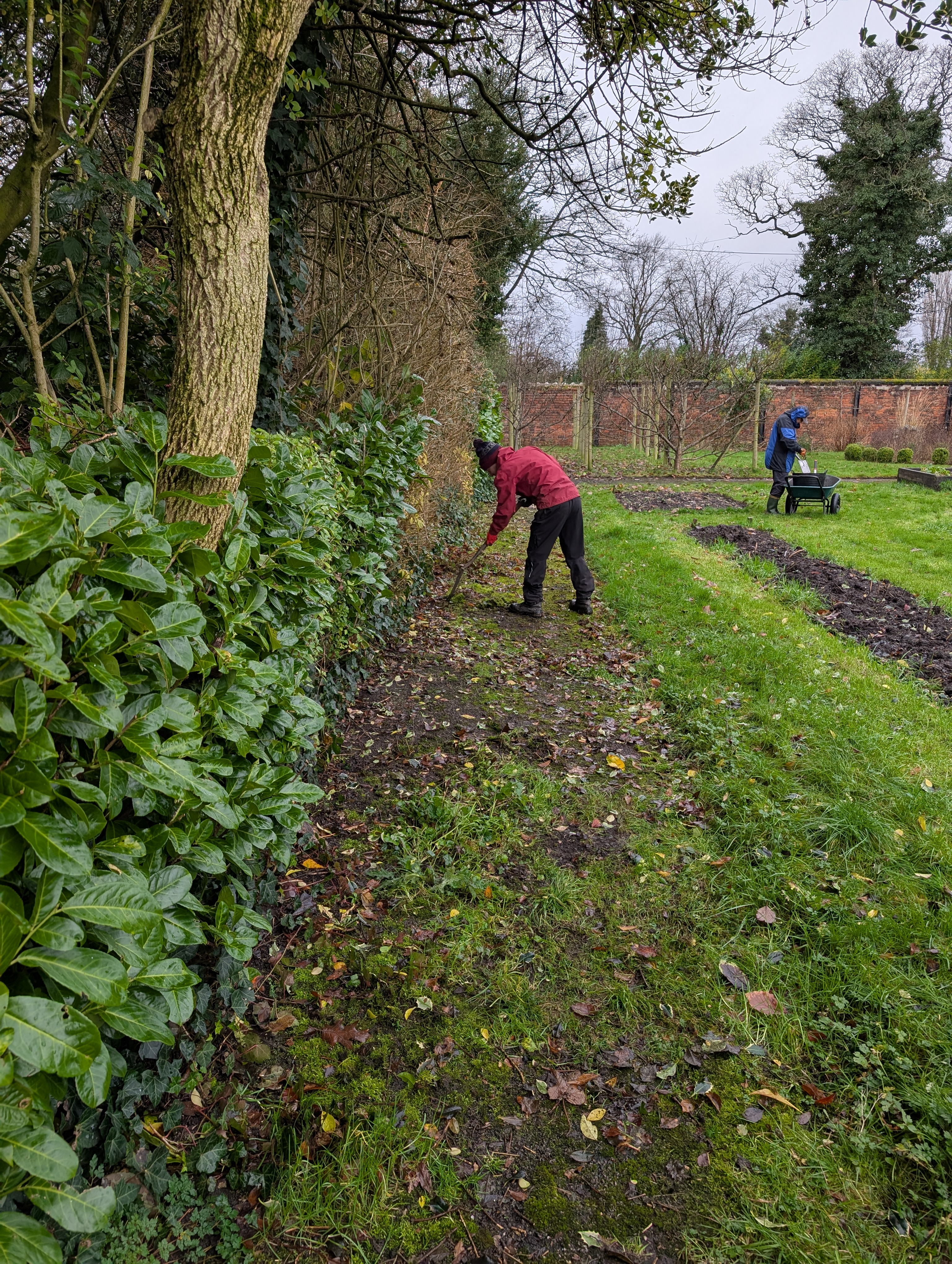 Volunteers at work in Longford Park