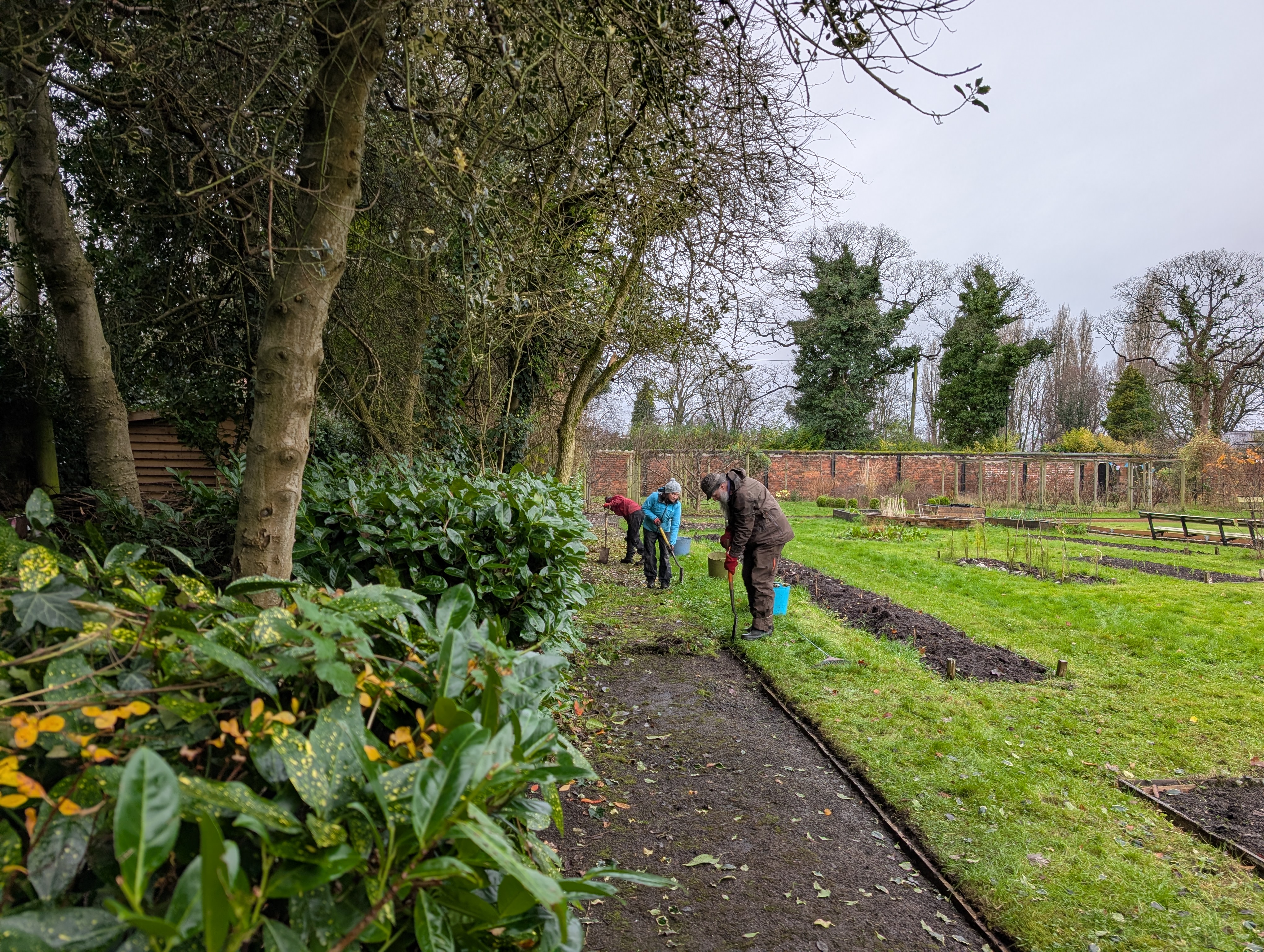 Volunteers at work in Longford Park