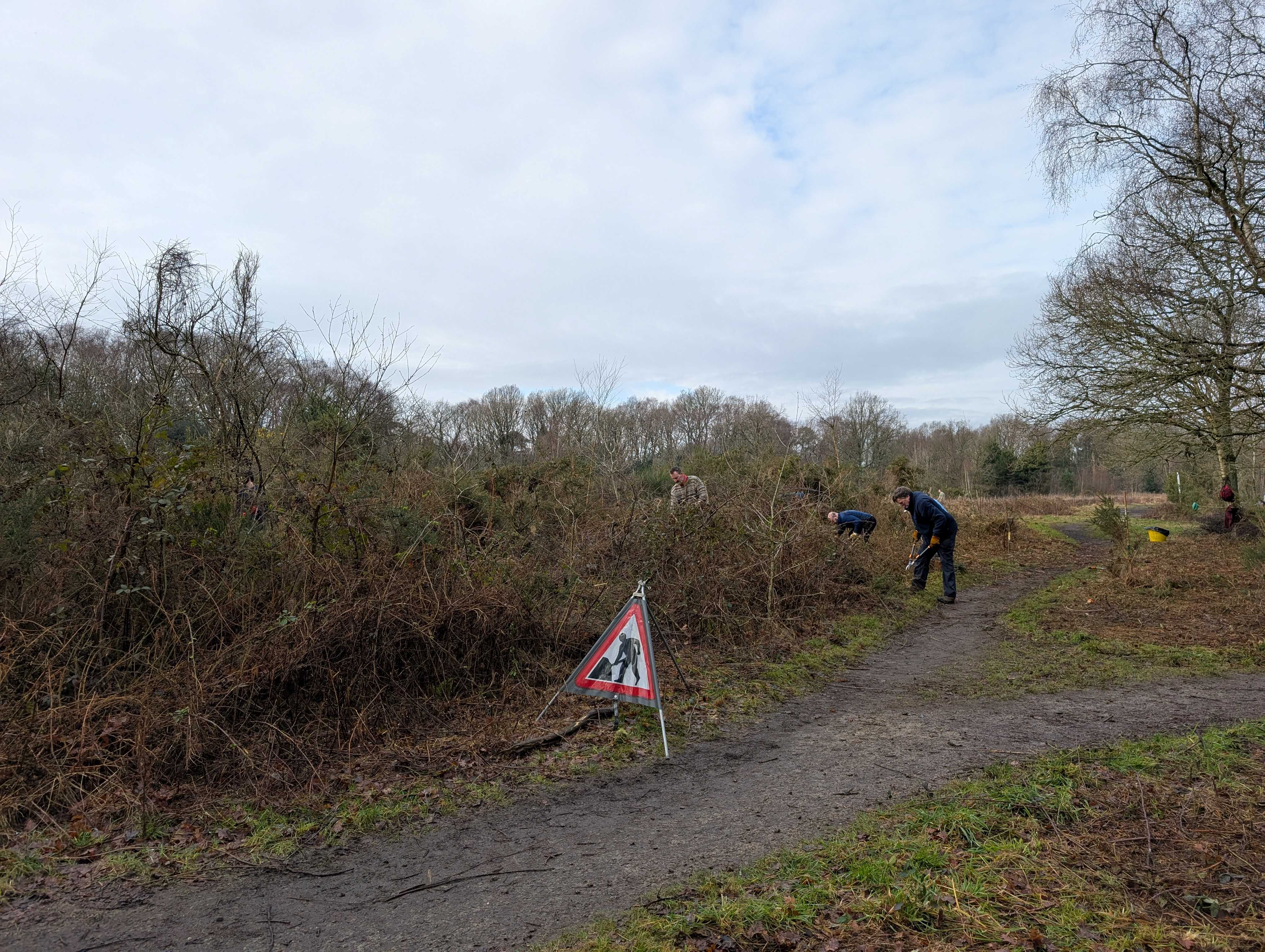 Conservation volunteers on Lindow Common