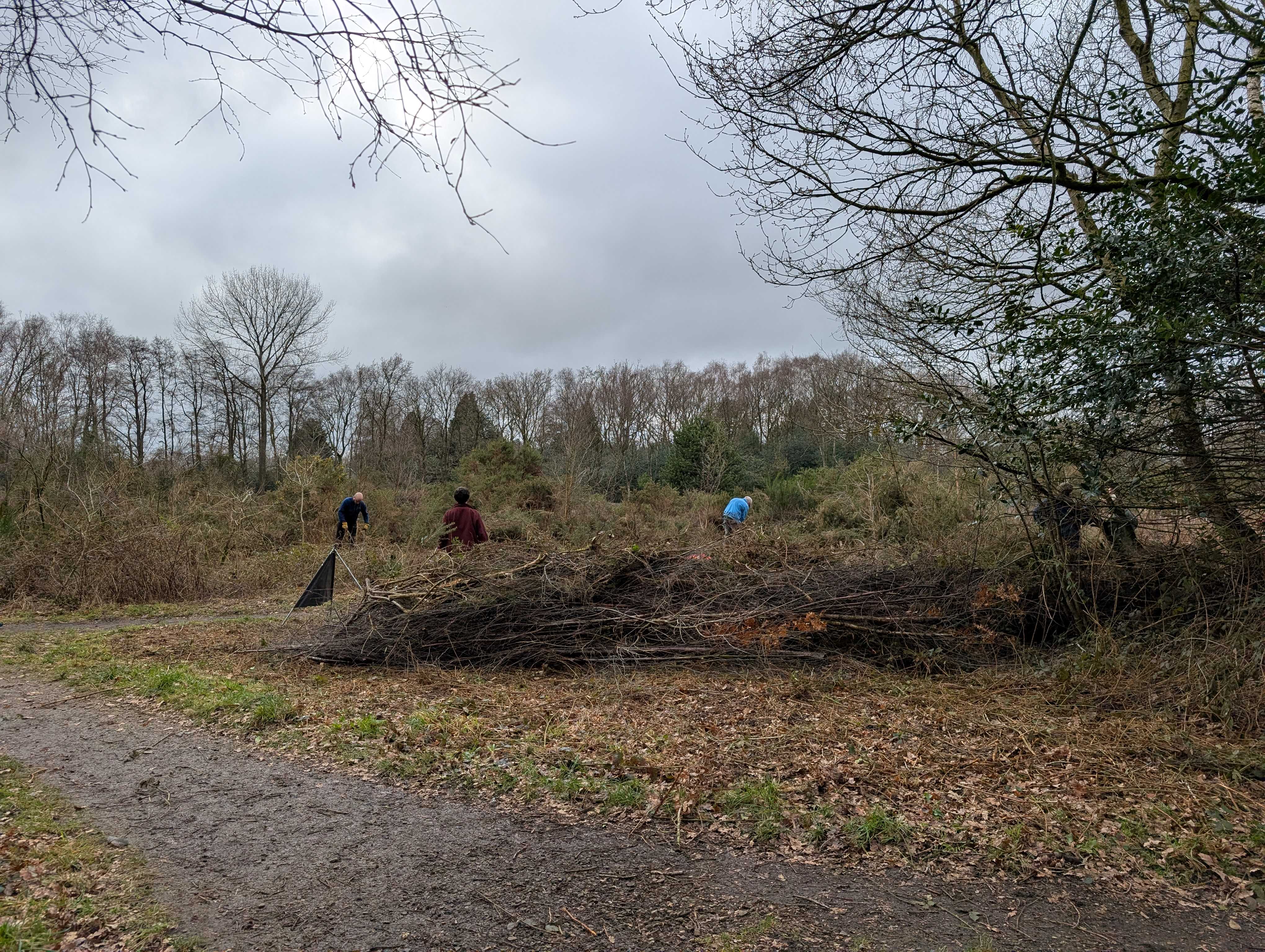 Conservation volunteers on Lindow Common