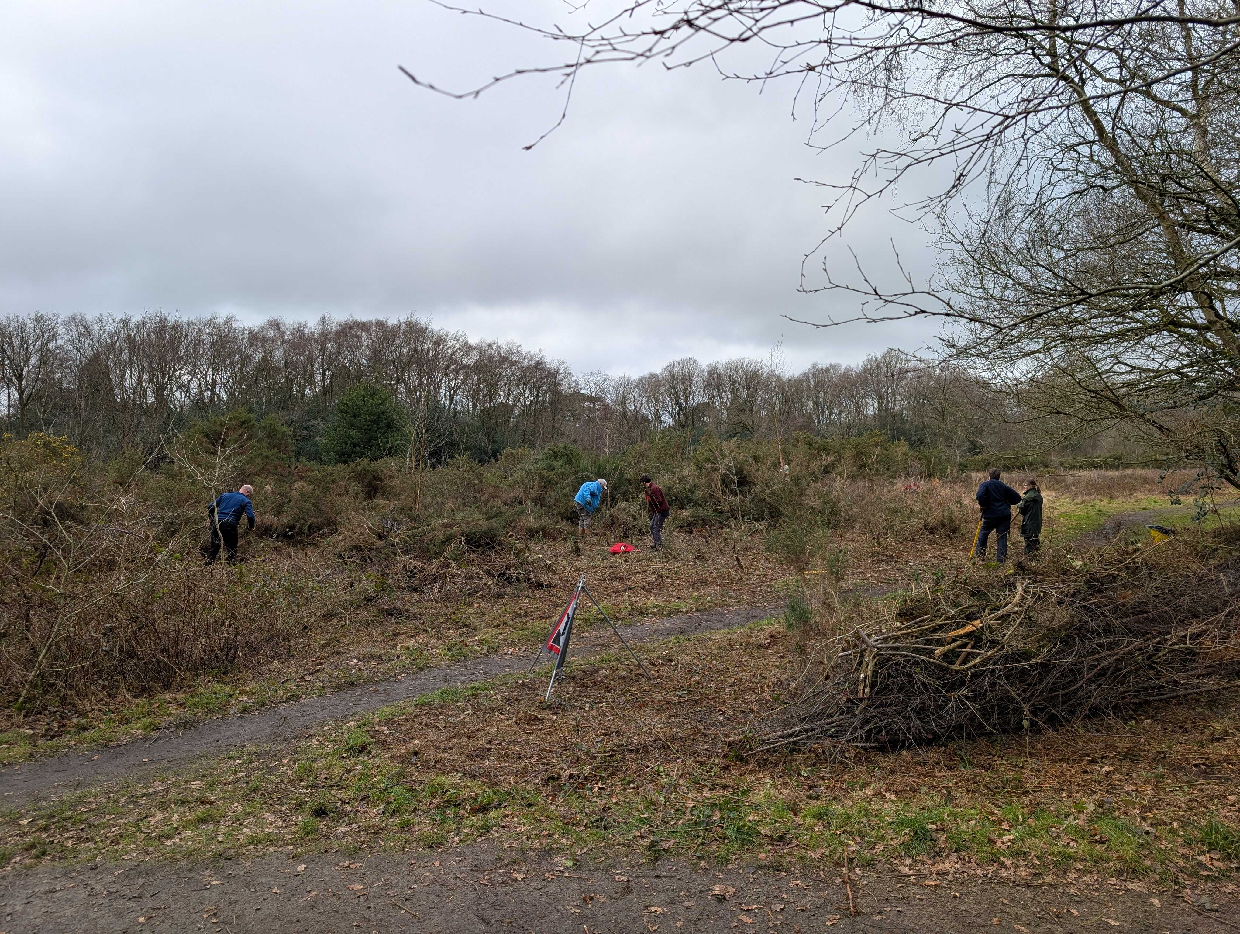 Conservation volunteers on Lindow Common