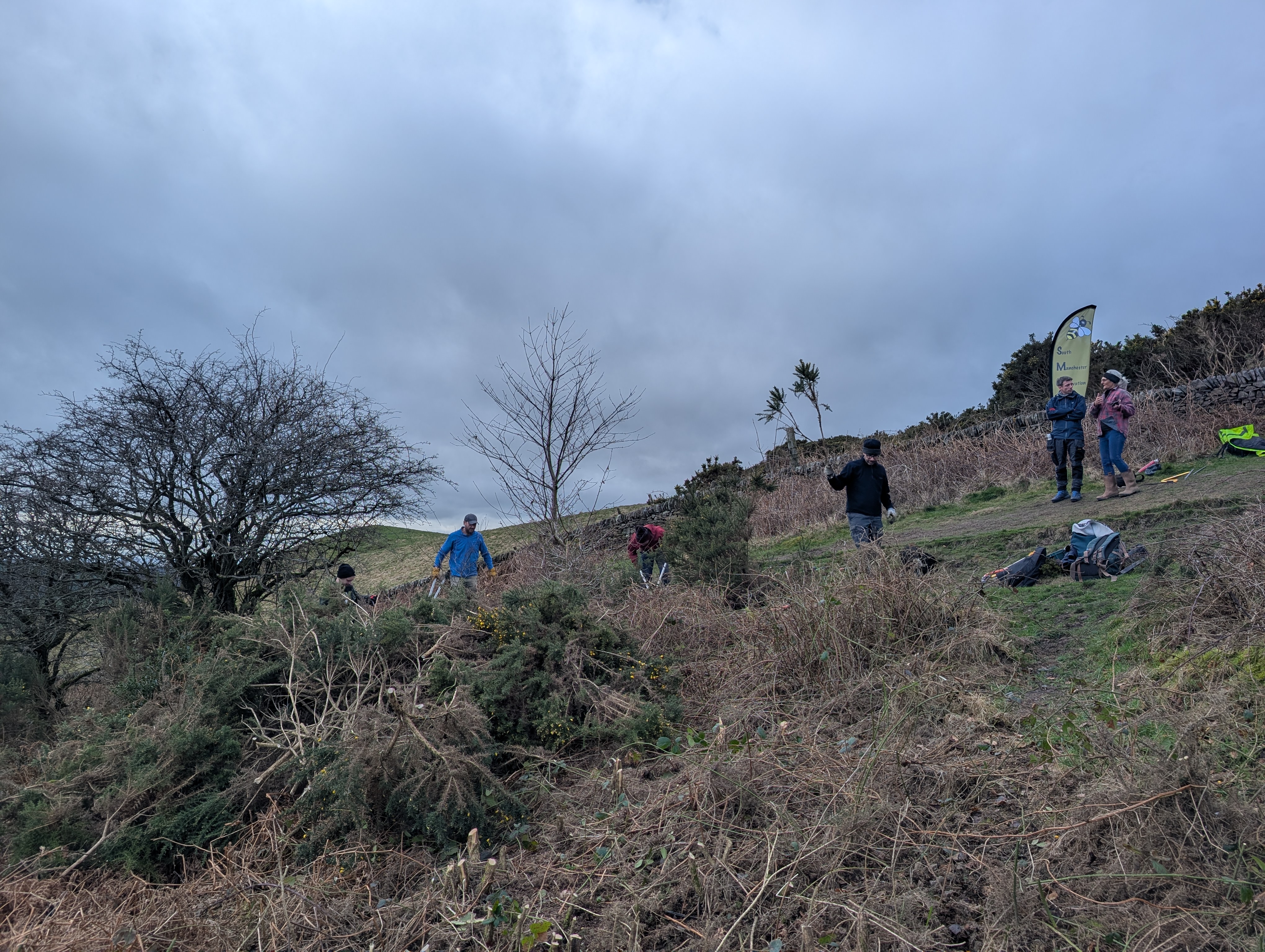 Volunteers at work on the heathland