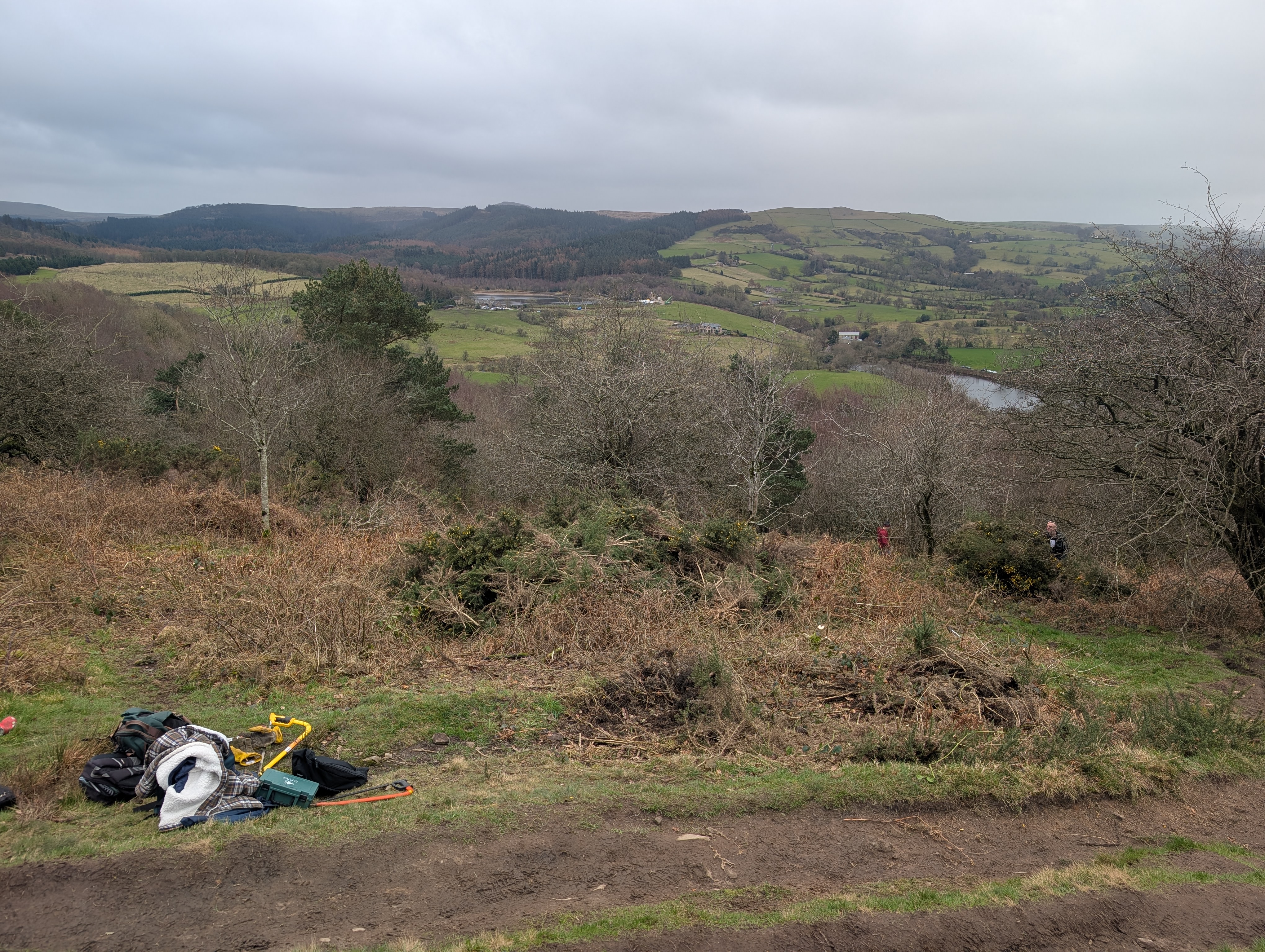 A cleared area of heathland